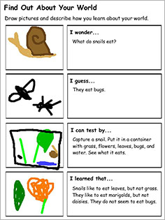 Problem solving essay cheating