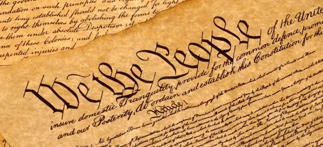 image of constitution