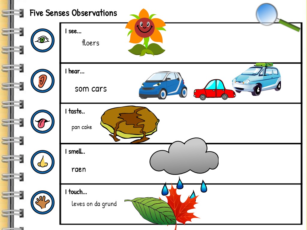 sample observations from a 5 senses walk