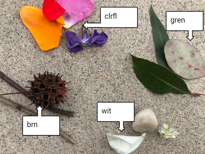image of objects found on a nature walk with sorting labels