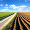 Pics4Learning Icon