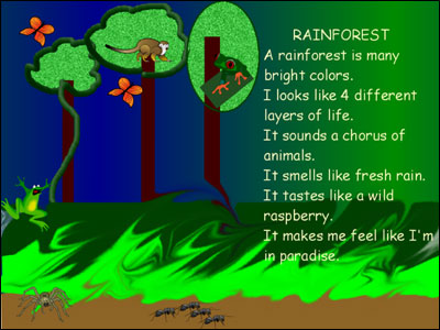 5 senses poem about rainforest